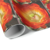 Papier Cadeau Orange-Cactus (Coin rond)