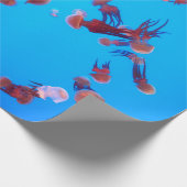 PAPIER CADEAU ORANGE JELLY FISH (Coin)