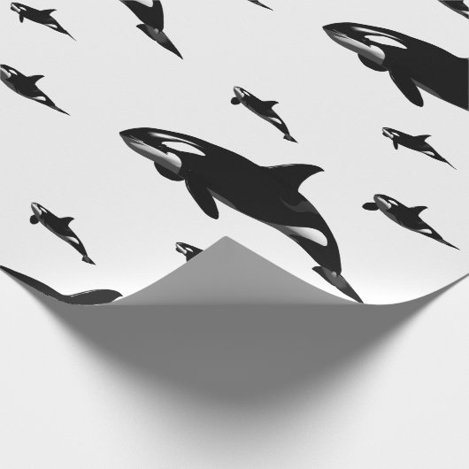 Papier Cadeau Orca (Coin)