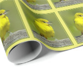 Papier Cadeau Orchard Oriole - Photo originale (Coin rond)