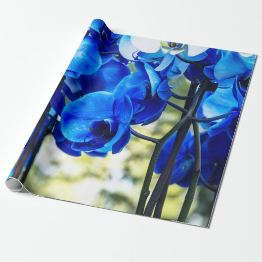 Papier Cadeau Orchidée bleue (Déroulé)
