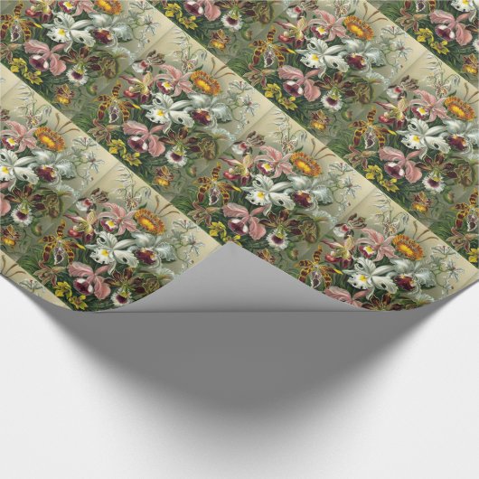 Papier Cadeau Orchidées d'art - Formes d'art de la nature (Coin)