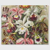 Papier Cadeau Orchidées, Orchideae Denusblumen Ernst Haeckel (Plat)
