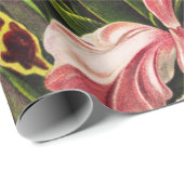 Papier Cadeau Orchidées, Orchideae Denusblumen Ernst Haeckel (Coin rond)