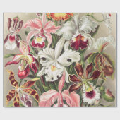 Papier Cadeau Orchidées, Orchidées Denusblumen par Ernst Haeckel (Plat)