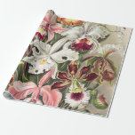 Papier Cadeau Orchidées, Orchidées Denusblumen par Ernst Haeckel<br><div class="desc">Orchidées,  Orchidée Denusblumen par Ernst Haeckel Papier à enveloppement "dessin artistique Vintage",  "Ernst Haeckel",  "fleurs florales feuilles plantes",  "forêt tropicale humide forêt tropicale jungle",  "botanique botanique botanique orchidées planifie des arbres",  "science scientifique,  art Filicinae",  "biologiste,  feuilles plante fleur" "Art Forms in Nature",  "embryophyta artistique victorien vert",  "Kunstformen der Natur"</div>