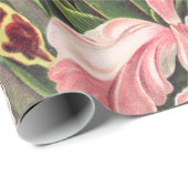 Papier Cadeau Orchidées, Orchidées Denusblumen par Ernst Haeckel (Coin rond)