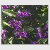 Papier Cadeau Orchidées pourpres (Plat)