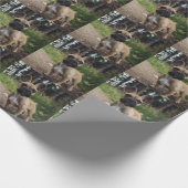 Papier Cadeau Oreiller à lancer de chien de taureau français (Coin)