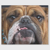 Papier Cadeau Oreillers à lancer de Bulldog anglais (Plat)