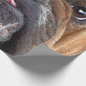 Papier Cadeau Oreillers à lancer de Bulldog anglais (Coin)