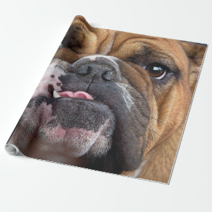 Papier Cadeau Oreillers à lancer de Bulldog anglais