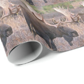 Papier Cadeau Orignaux d'Alaska (Coin rond)