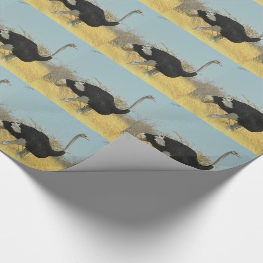 Papier Cadeau Ostrige pour courir (Coin)