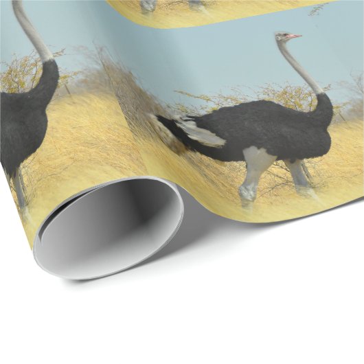 Papier Cadeau Ostrige pour courir (Coin rond)