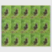 Papier Cadeau Otter (Plat)