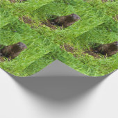 Papier Cadeau Otter (Coin)