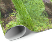Papier Cadeau Otter (Coin rond)