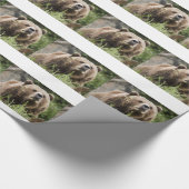 PAPIER CADEAU OURS (Coin)