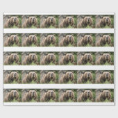 PAPIER CADEAU OURS (Plat)