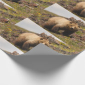 Papier Cadeau ours (Coin)