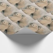 Papier Cadeau Ours blanc d'Alaska CUB (Coin)