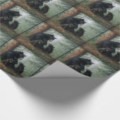 Papier Cadeau Ours de mamans (Coin)