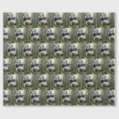 Papier Cadeau Ours de panda accroché à une branche de bambou (Plat)