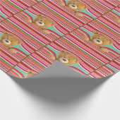 Papier Cadeau Ours En Teddy (Coin)