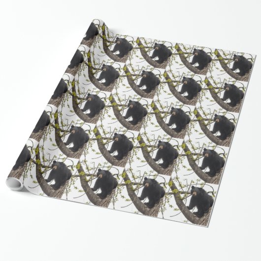 Papier Cadeau Ours noir Escalade (Déroulé)