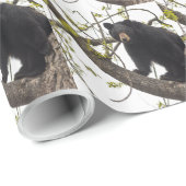 Papier Cadeau Ours noir Escalade (Coin rond)