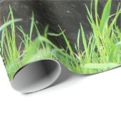 Papier Cadeau Ours noir et cubes jumeaux (Coin rond)