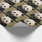 Papier Cadeau Ours panda géant mignon (Coin)