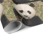 Papier Cadeau Ours panda géant mignon (Coin rond)