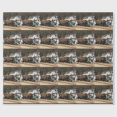 Papier Cadeau Ouverture d'amusement - conception de notation (Plat)