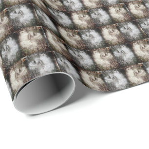 Papier Cadeau Ouvrir les pots d'algues Graines avec soie Fil