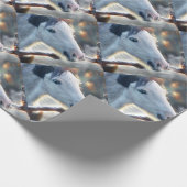 Papier Cadeau Owl Horse et Beautful (Coin)