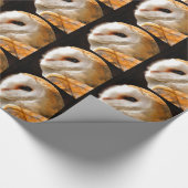 PAPIER CADEAU OWLS (Coin)