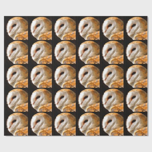 PAPIER CADEAU OWLS (Plat)