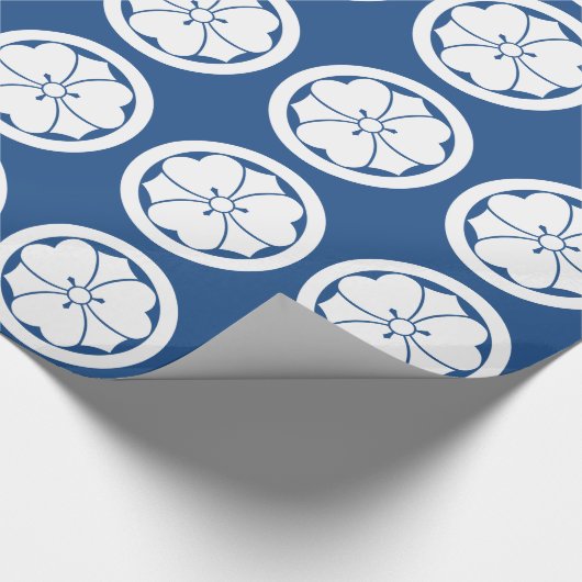 Papier Cadeau Oxalide blanche petite oseille avec des épées en (Coin)