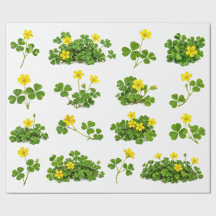 Papier Cadeau Oxalide Jaune Trèfle Champ Fleurs Sauvages Botaniq
