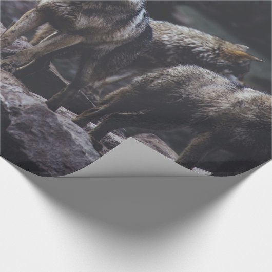 Papier Cadeau Pack Wolf (Coin)
