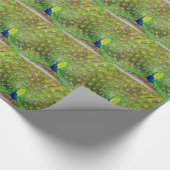 Papier Cadeau Pacock (Coin)
