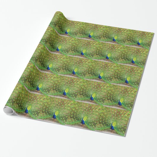 Papier Cadeau Pacock (Déroulé)