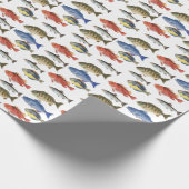 Papier Cadeau Painted Fish (Coin)
