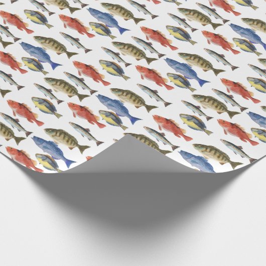 Papier Cadeau Painted Fish (Coin)