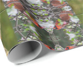 Papier Cadeau Paire cardinale du Nord (Coin rond)