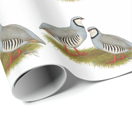 Papier Cadeau Paire de perdrix de Chukar (Coin rond)