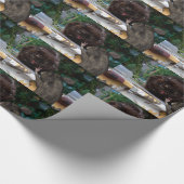 Papier Cadeau Paix ! (Coin)