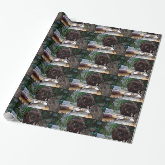 Papier Cadeau Paix ! (Déroulé)